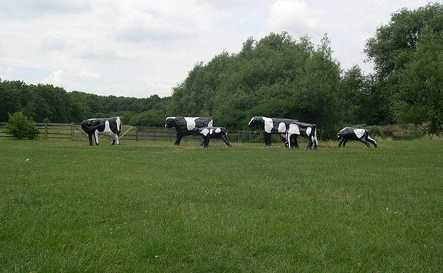 File:ConcreteCows.jpg