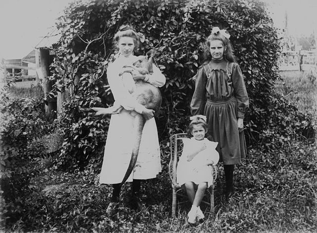 File:StateLibQld 1 100472.jpg