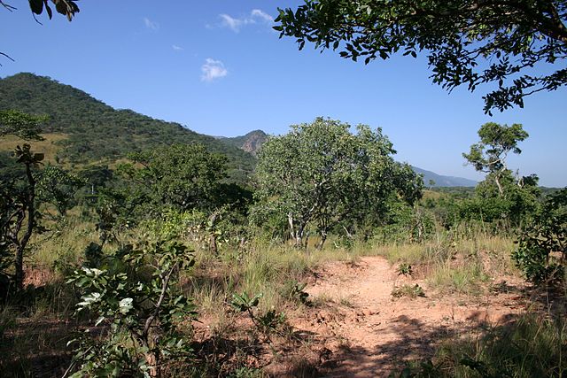 File:Nyika miombo.jpg