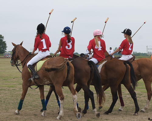 File:PoloGirlsHorses.jpg