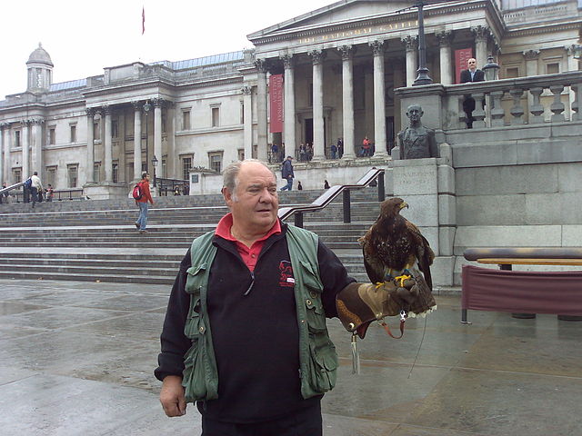 File:Trafalgar square's trained falcon 1.jpg