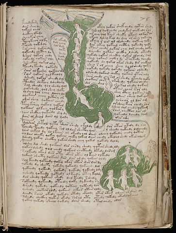 File:Voynich Manuscript (135).jpg