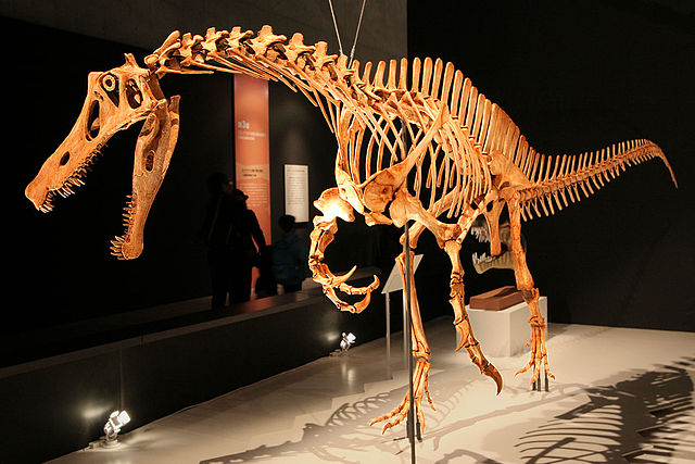 File:Irritator challengeri mount 01.jpg