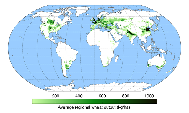 File:WheatYield.png
