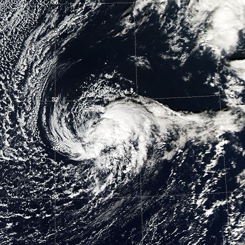 File:Tropical Storm Otto 2004.jpg