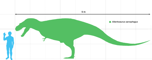 File:Albertosaurus.png