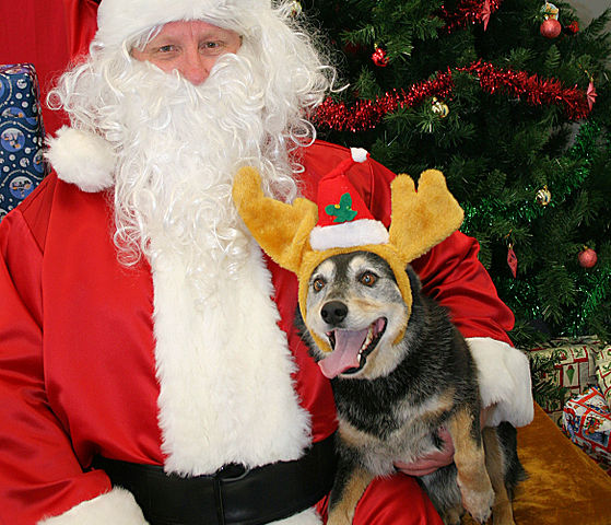 File:Acd santa.jpg