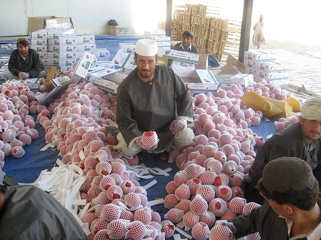 File:Afghan pomegranate processing.jpg