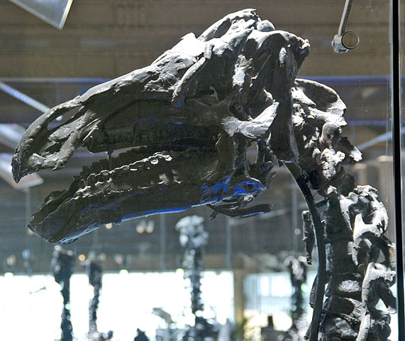 File:20080429 2110 edited.jpg