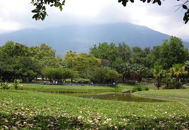 File:Parque del este caracas venezuela 2008.JPG