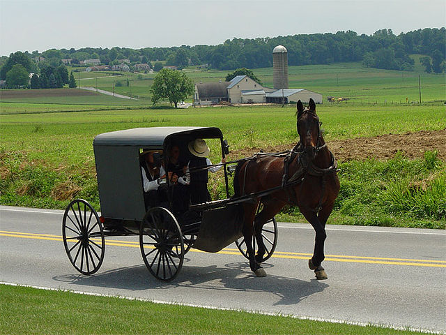 File:Lancaster County Amish 03.jpg