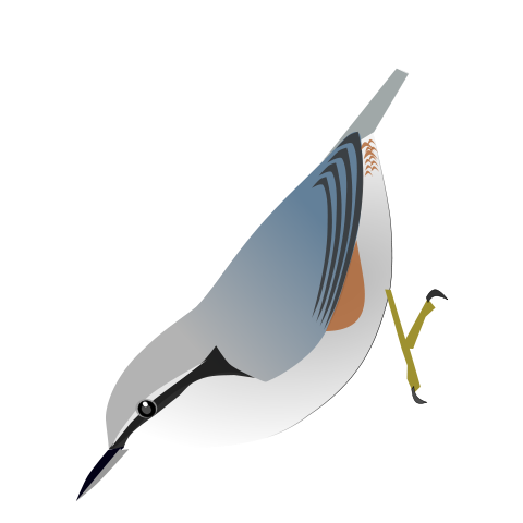 File:SittaNagaensis.svg