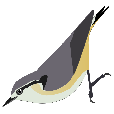 File:SittaVictoriae.svg