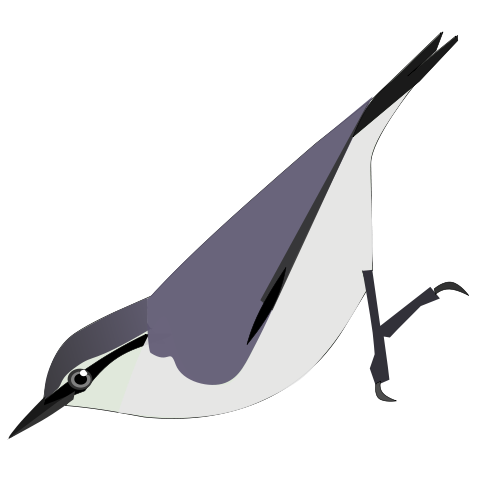 File:SittaYunnanensis.svg