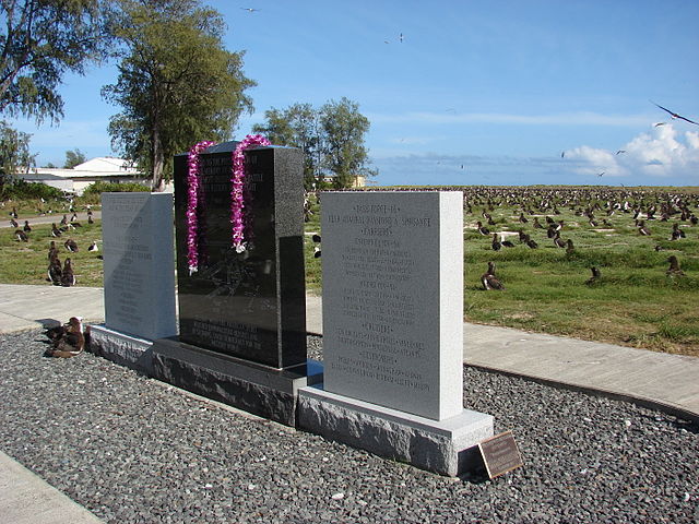 File:Starr 080604-6331 Unknown orchidaceae.jpg