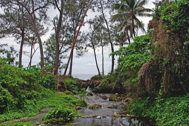 File:A stream on Efate, Vanuatu.jpg