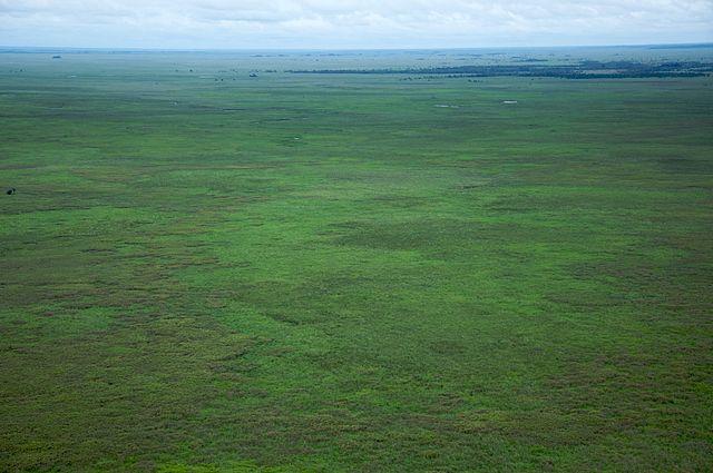 File:Sabana del Beni - Bolivia.jpg