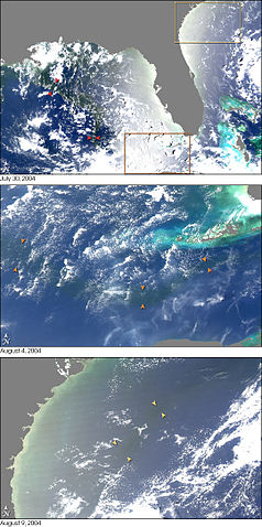 File:MississippiRiver GulfMex MODIS 2004jul-aug.jpg
