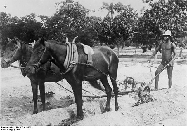 File:Bundesarchiv Bild 137-029895, Togo, Pfl&uuml;gen eines Baumwollfeldes.jpg