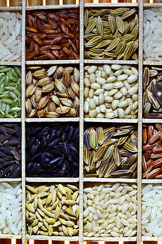 File:Rice diversity.jpg