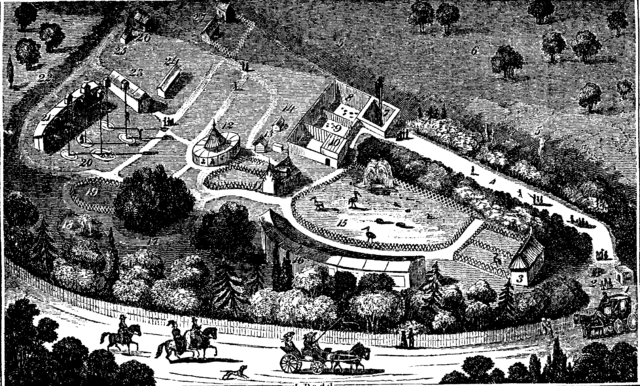 File:Gardens of the Zoological Society Regent's Park 1828 - Project Gutenberg eText 11389.png