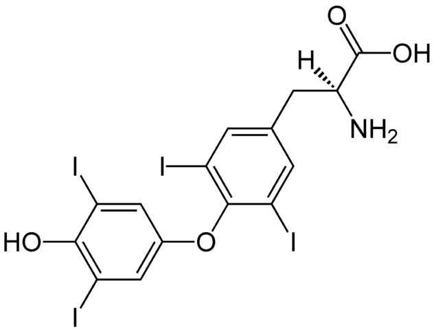 File:(S)-Thyroxine Structural Formulae.png