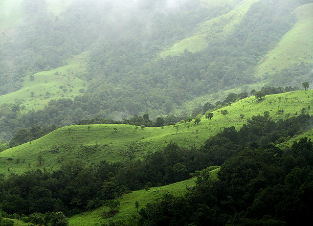 File:Shola Grasslands and forests in the Kudremukh National Park, Western Ghats, Karnataka.jpg