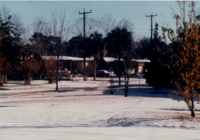 File:Jacksonville Snow 2.jpg