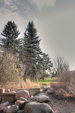 File:Hawrelak-Park-Watercourse-Edmonton-Alberta-Canada-01.jpg