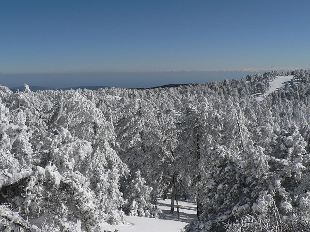 File:Chionistra winter 1.JPG