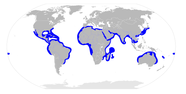 File:Sphyrna mokarran distribution map.svg