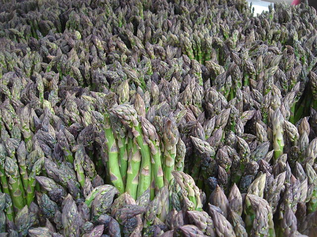 File:Green Asparagus New York 11 May 2006.jpg