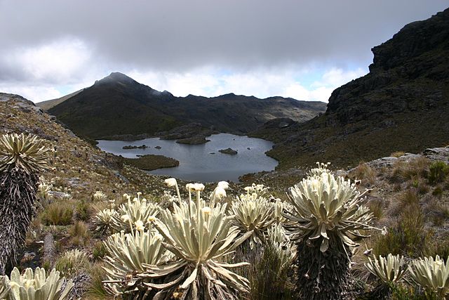 File:Laguna Verde Silos Mutiscua.JPG
