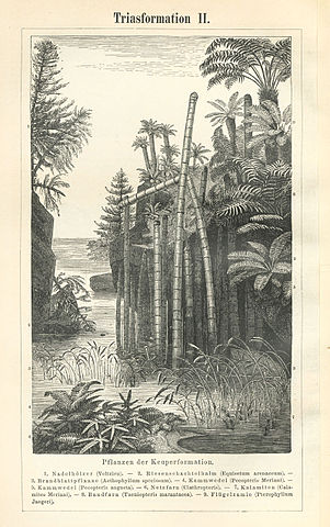 File:Meyers b15 s0826b.jpg