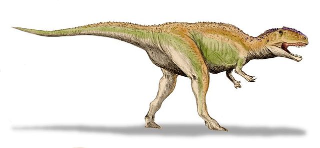 File:Giganotosaurus BW.jpg