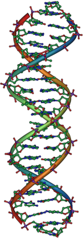 File:DNA Overview2.png