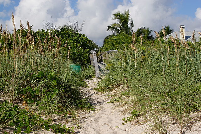 File:Beach access.JPG