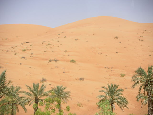 File:Sanddune.JPG