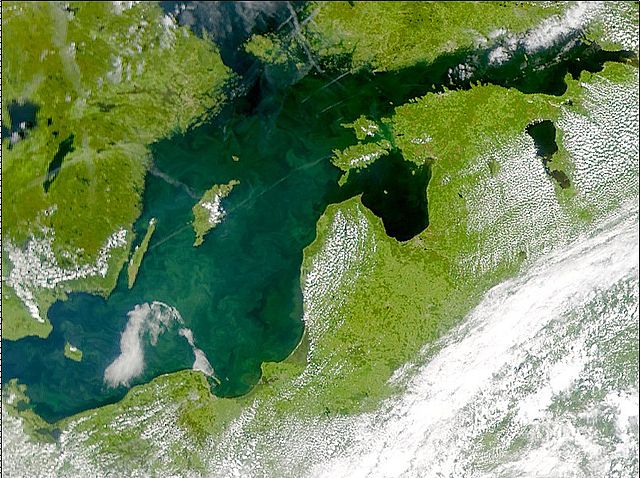 File:Phytoplankton bloom in the Baltic Sea (July 3, 2001).jpg