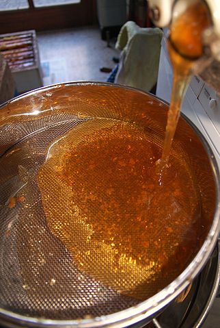 File:Filtering of honey .jpg