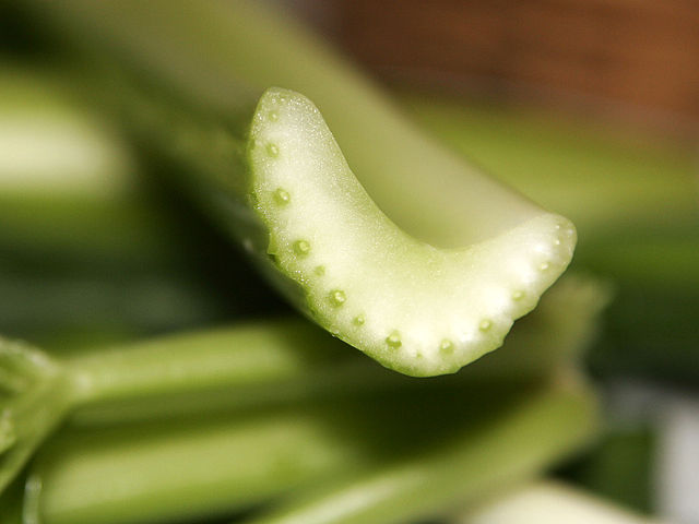 File:Celery cross section.jpg