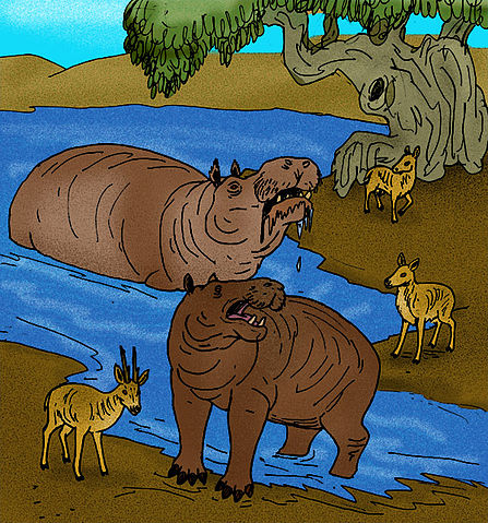 File:Hippopotamus cruetzburgi.JPG
