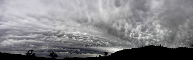 File:Mammatus cloud panorama.jpg
