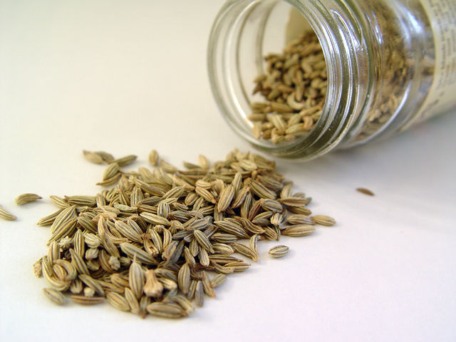 File:Fennel seed.jpg