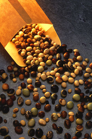 File:Soybeanvarieties.jpg
