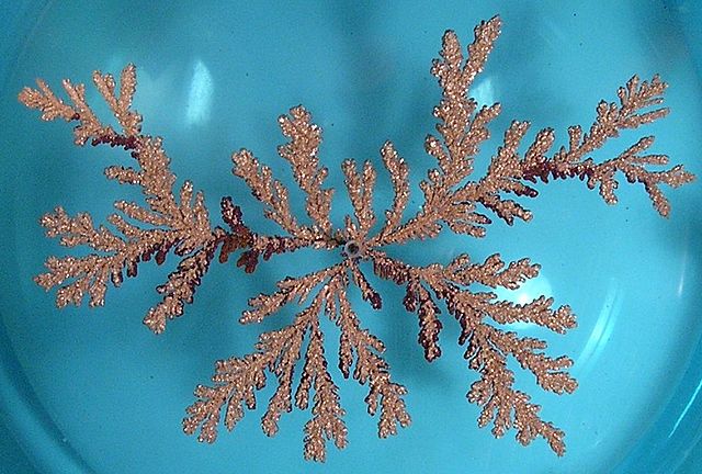 File:DLA Cluster.JPG