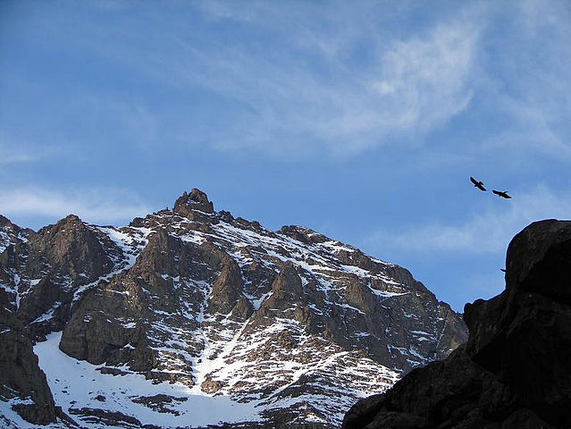File:Birds and toubkal.jpg
