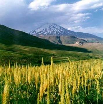File:Damavand3.jpg